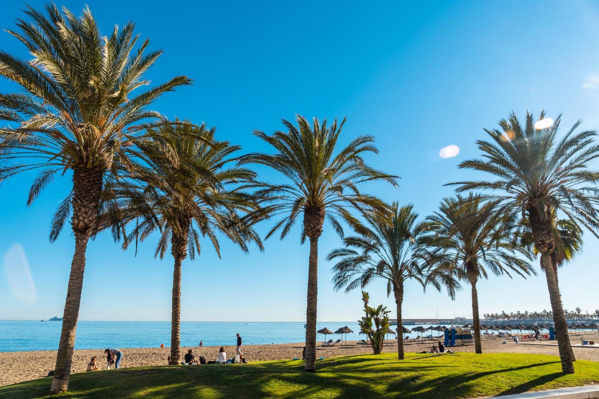 Your Home In Malaga Centro & Parking Free 外观 照片
